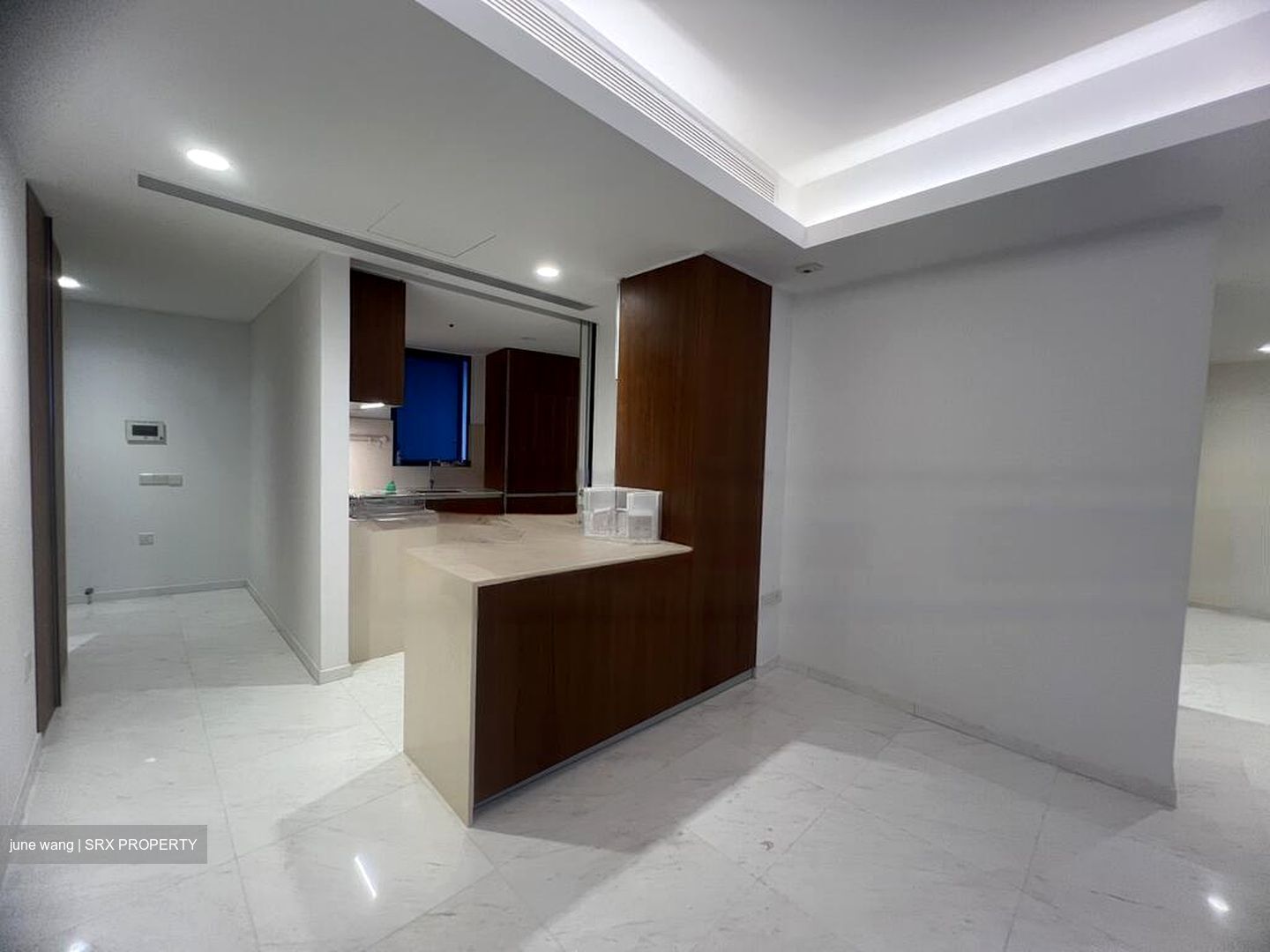 Cairnhill Nine (D9), Apartment #477794911